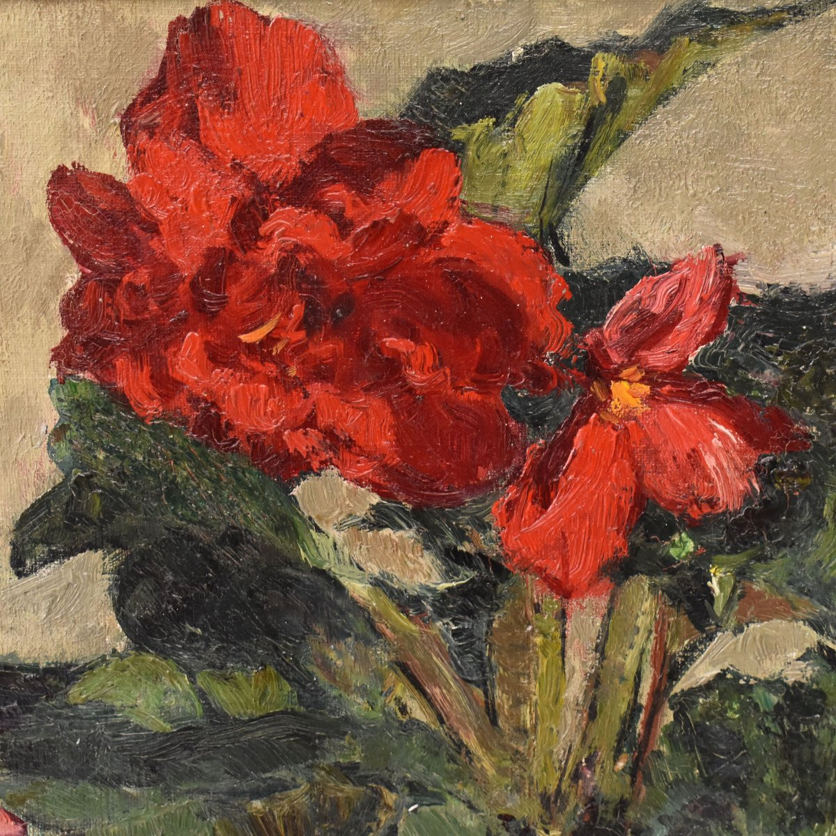 QUADRI ANTICHI, NATURA MORTA CON FIORI, GERANI E BEGONIE, OLIO SU TELA, XX SECOLO. (QF737)-photo-3