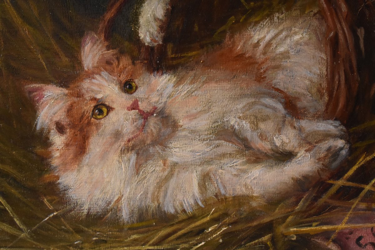 DIPINTI ANTICHI, RITRATTI DI TRE GATTI CHE GIOCANO, OLIO SU TELA, EPOCA FINE OTTOCENTO. (QA750)-photo-4