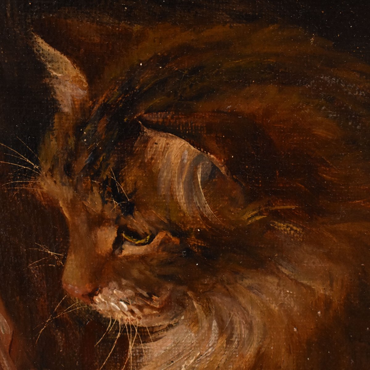 DIPINTI ANTICHI, RITRATTI DI TRE GATTI CHE GIOCANO, OLIO SU TELA, EPOCA FINE OTTOCENTO. (QA750)-photo-1