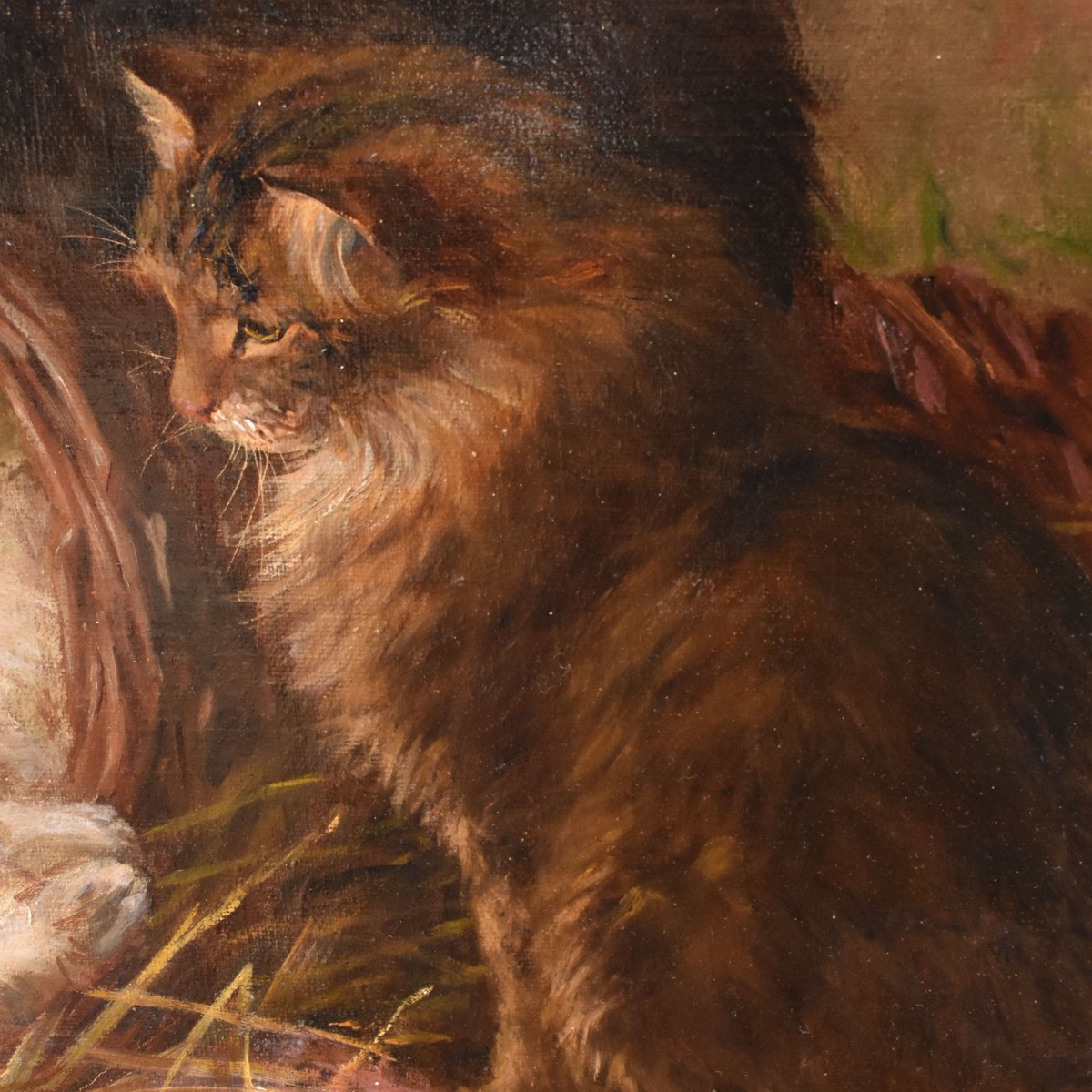 DIPINTI ANTICHI, RITRATTI DI TRE GATTI CHE GIOCANO, OLIO SU TELA, EPOCA FINE OTTOCENTO. (QA750)-photo-3
