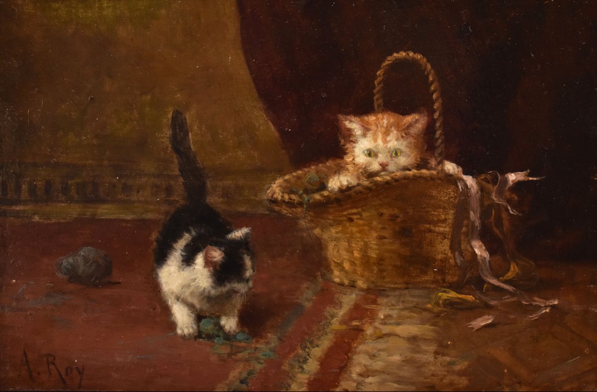 PICCOLO RITRATTO DI DUE GATTI CHE GIOCANO, OLIO SU TAVOLA, EPOCA FINE OTTOCENTO. (QA751)-photo-3
