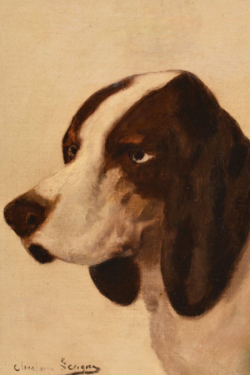 DIPINTI ANTICHI, RITRATTI DI CANI DA CACCIA, SEGUGI FRANCESI, OLIO SU TELA, EPOCA OTTOCENTO. (Q-photo-3