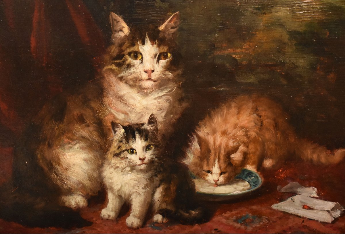 Dipinti Antichi Con Animali, Ritratti Con Gatti, Gustave Le Roy, Olio Su Tavola, XIX (QA770)-photo-3