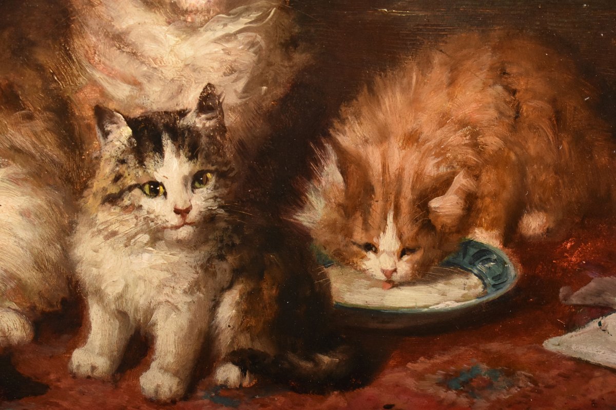 Dipinti Antichi Con Animali, Ritratti Con Gatti, Gustave Le Roy, Olio Su Tavola, XIX (QA770)-photo-4