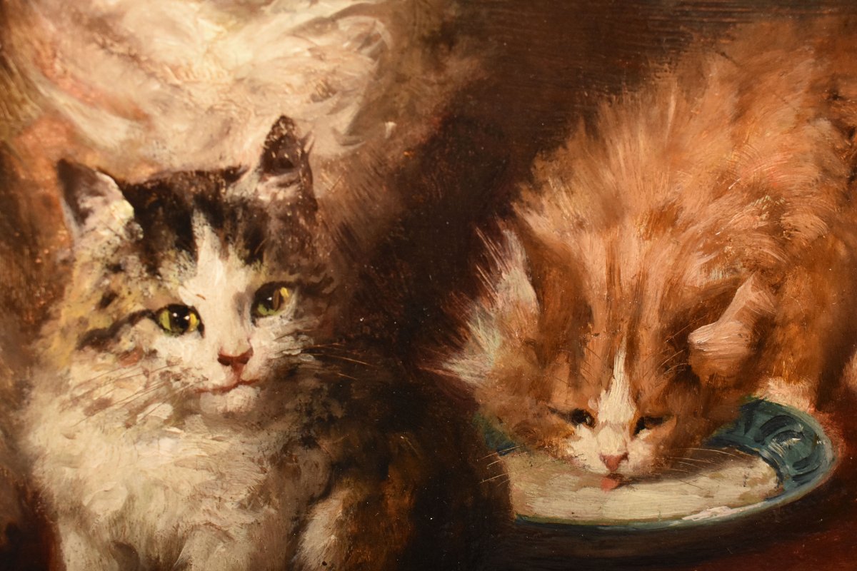 Dipinti Antichi Con Animali, Ritratti Con Gatti, Gustave Le Roy, Olio Su Tavola, XIX (QA770)-photo-1
