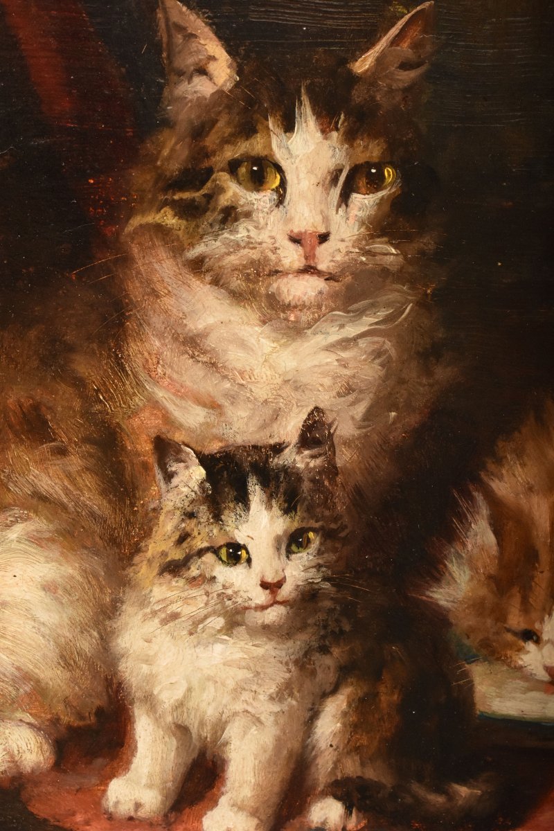 Dipinti Antichi Con Animali, Ritratti Con Gatti, Gustave Le Roy, Olio Su Tavola, XIX (QA770)-photo-2
