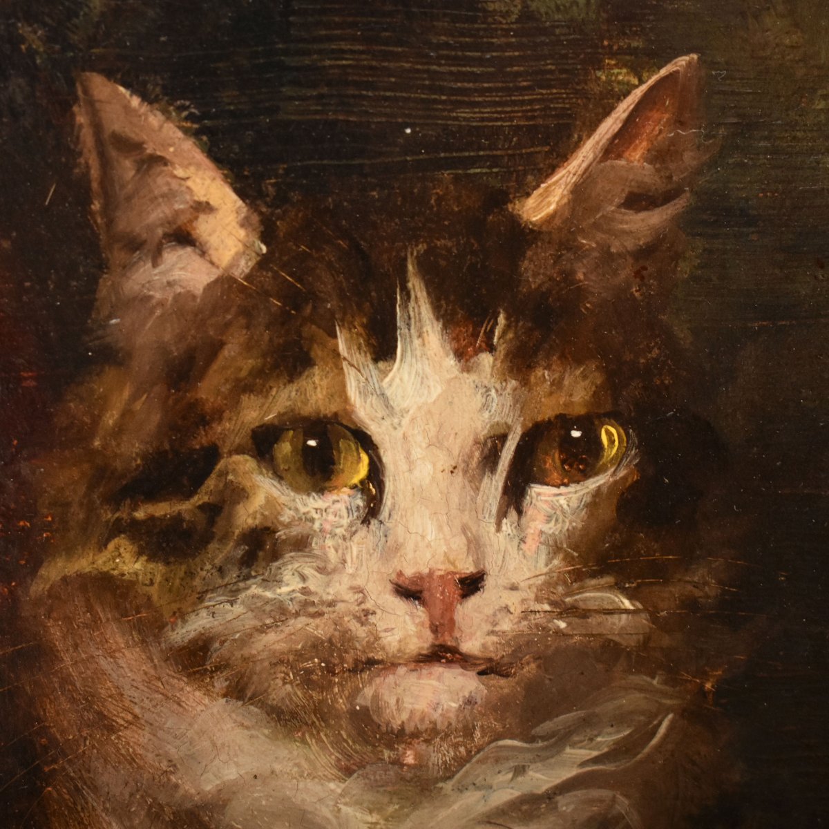 Dipinti Antichi Con Animali, Ritratti Con Gatti, Gustave Le Roy, Olio Su Tavola, XIX (QA770)-photo-3