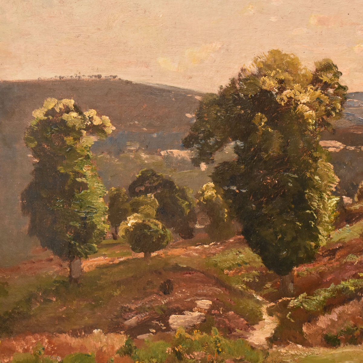 DIPINTI ANTICHI, PAESAGGIO RURALE FRANCESE, OLIO SU TELA, INIZIO XX SECOLO. (QP773)-photo-4