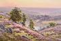 1556312-6836e0b266708.jpg