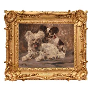 DIPINTI ANTICHI, RITRATTI DI CANI, MALTESE E SPANIEL, OLIO SU TELA,  PRIMI NOVECENTO. (QA714)