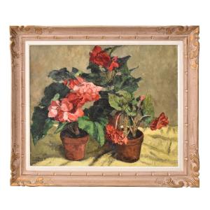 QUADRI ANTICHI, NATURA MORTA CON FIORI, GERANI E BEGONIE, OLIO SU TELA, XX SECOLO. (QF737)