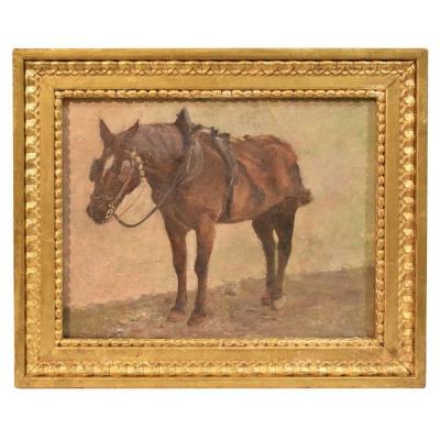 Peinture cheval , huile sur toile,  XIXè siècle . (QA 224)