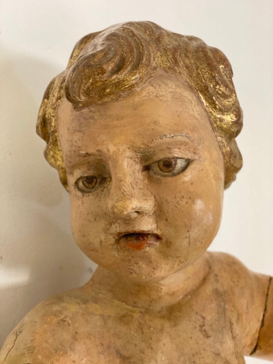 Putto ligneo cherubino scolpito laccato e dorato . XVII secolo Lombardia-photo-3
