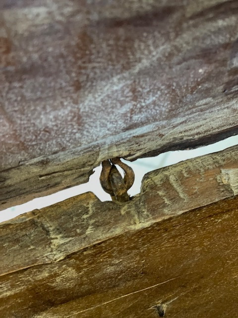 Cassapanca Toscana Liguria epoca XVI secolo-photo-6