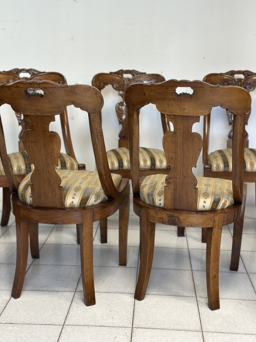 Gruppo di sette sedie a gondola Carlo X lombarde. Primo 800-photo-6