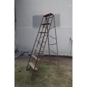 Late 19th Century Stepladder