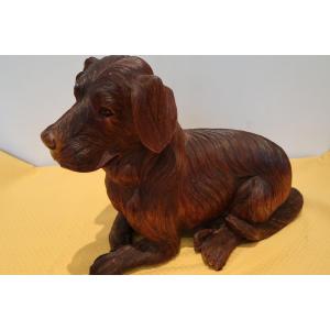 Dog From The 1960s-1970s