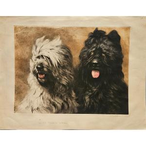 Pierre Chatillon, Engraving: Shepherds Of Brie