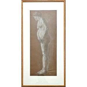Nude, Charcoal And Chalk On Paper By Armand Paulis,4