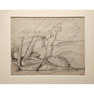3 Trees, Drawing By Louis Cabat, Charcoal