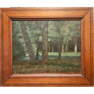 Clairière à Bercenay-en-othe, Oil On Board By Louis Cabat, 1857