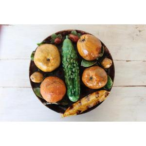 Antique Portuguese Palissy Ware Large Wall Plate, Caldas, Earthenware, Majolica