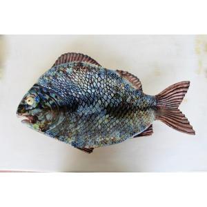 Antique Portuguese Palissy Ware Large Fish Wall Platter, 21.6” Wide, Earthenware