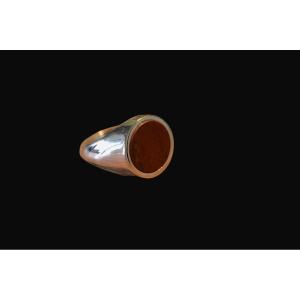 Modern Signet Ring In Solid Silver And Carnelian