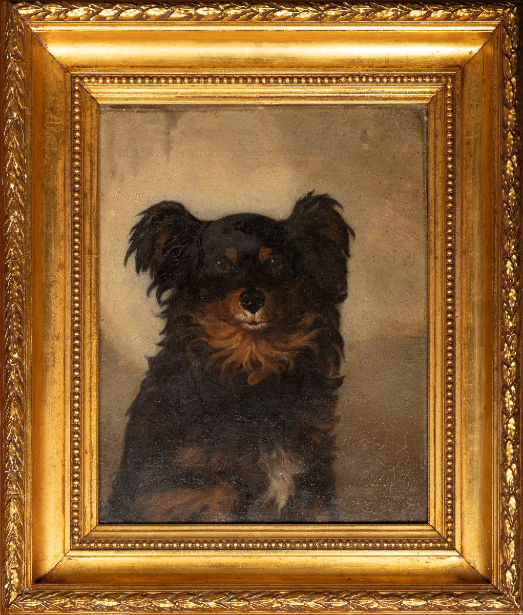 Ritratto di cane – Pittore inglese, seconda metà del XIX secolo