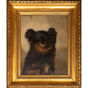 Ritratto di cane – Pittore inglese, seconda metà del XIX secolo