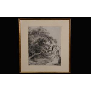 Charcoal On Paper, Classicizing Naturalist Drawing