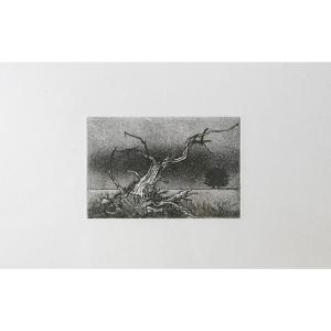 Lithograph Barthélémy Gabriel Azam (41 X 31 Cm)