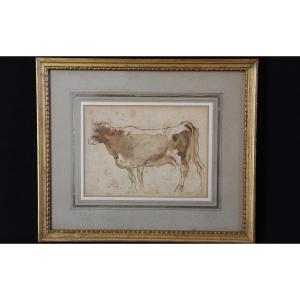 Wash, Cow 19th Century (36x30 Cm) 