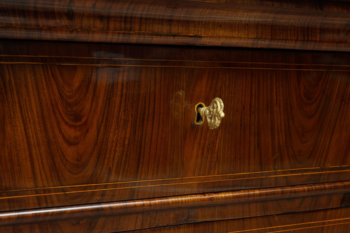 Cassettone a balestra a tre cassetti di provenienza lucchese 19secolo-photo-4