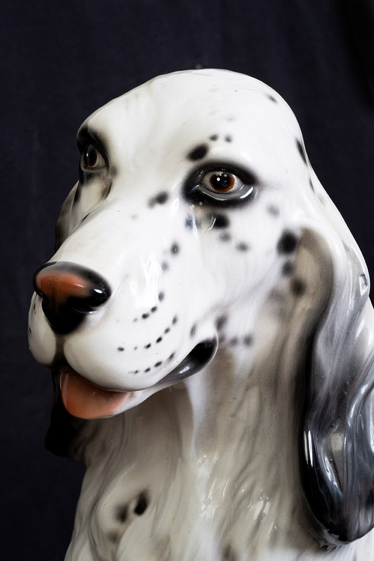 Scultura in porcellana policroma raffigurante Setter Inglese.-photo-2