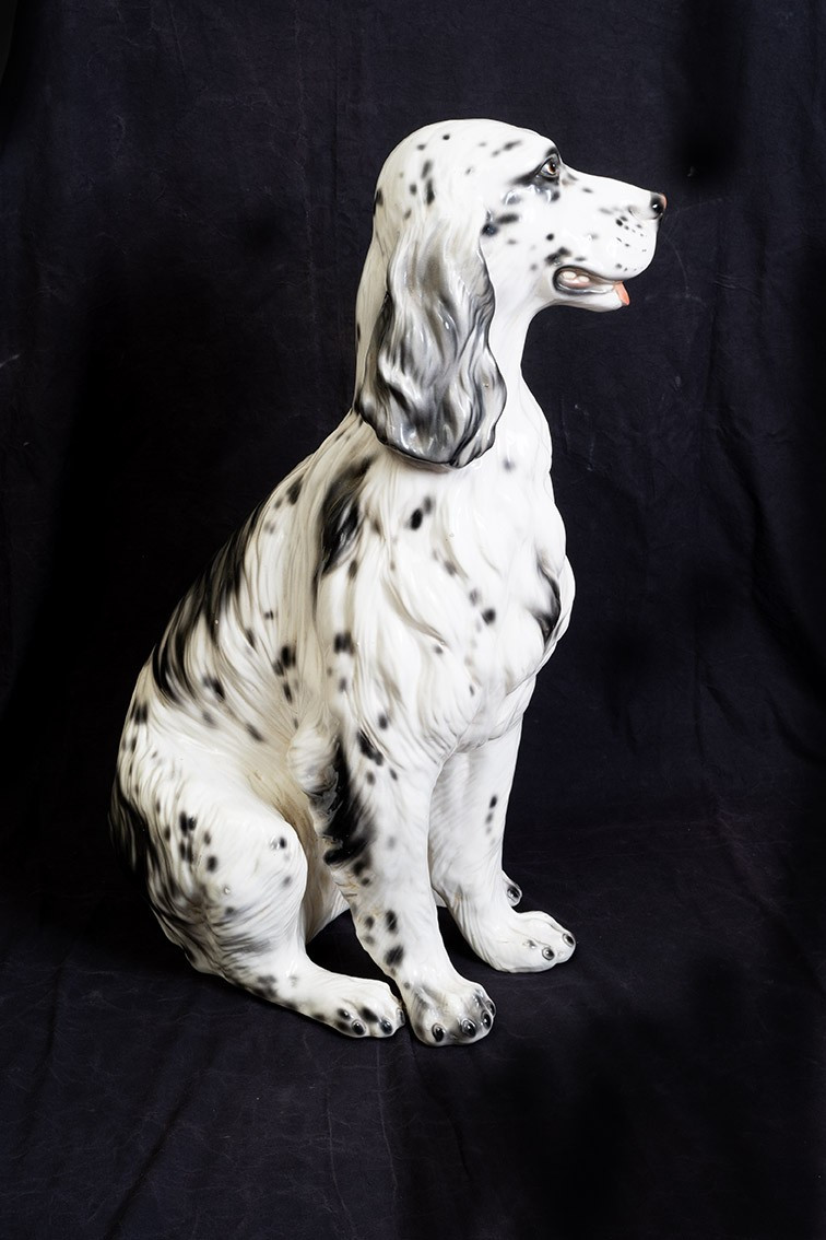 Scultura in porcellana policroma raffigurante Setter Inglese.-photo-3