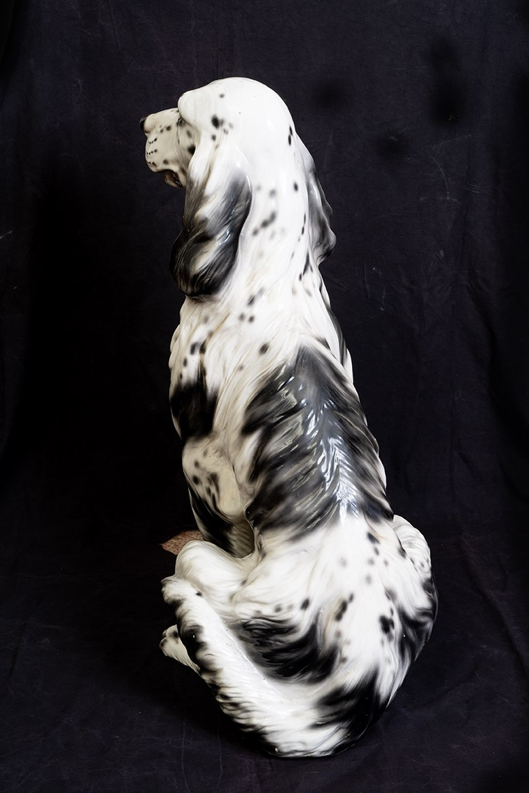 Scultura in porcellana policroma raffigurante Setter Inglese.-photo-4