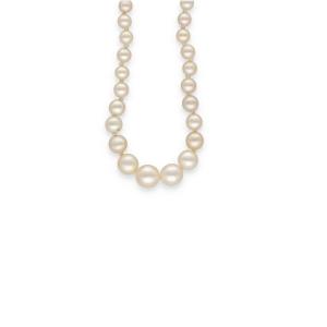 Fine Pearl Necklace