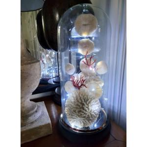 Creation With Corals Under Globe XIXth Century