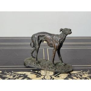 Pierre Jules Mene "greyhound" In Bronze Signed - 19th Century