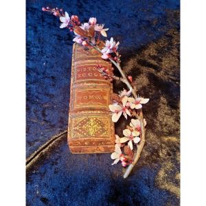 Leather Stamp Box "fake Books" Maison Maquet - Rue De La Paix In Paris
