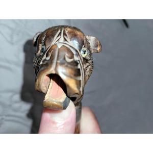 Cane With Bulldog Head Knob Known As A Glove Holder In Carved Wood - 19th Century