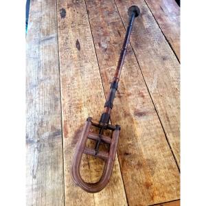 Folding Walking Stick/seat - 19th Century