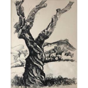 Landscape With Olive Tree.