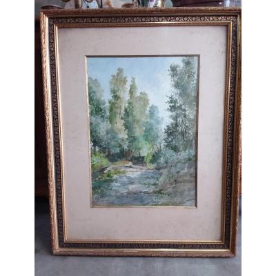 Watercolor Wooded Path Signed S. Bertrand