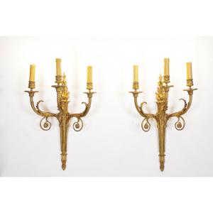 Pair Of Louis XVI Style Wall Lights