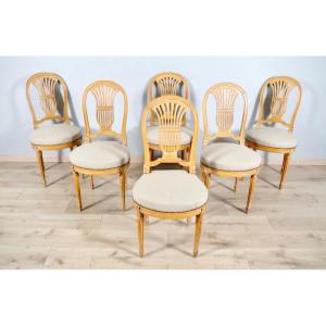 Six Louis XVI Style Chairs