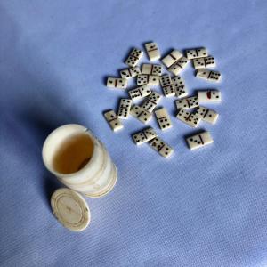 Travel Domino - Curiosity 