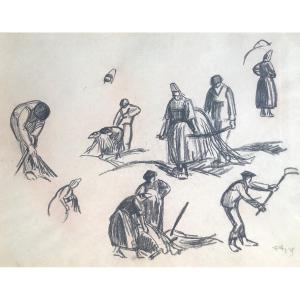 Seaweed Harvesters' Study - Pierre Agnès - Brittany