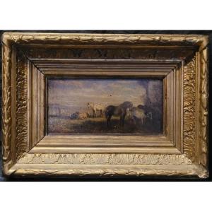 Stocquart Ildephonse, Horses And Cows In The Meadow, Oil On Panel, 19th Century